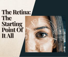 the retina the starting point of it all