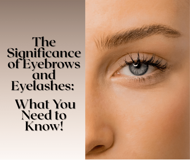 The Significance of Eyebrows and Eyelashes